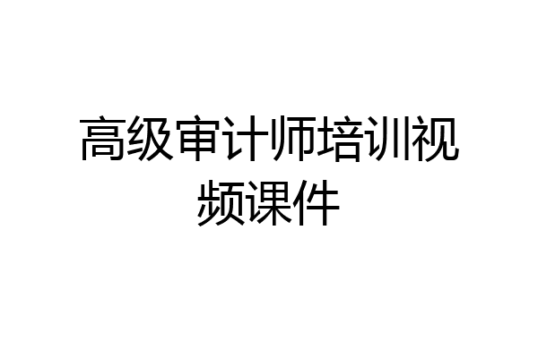 高级审计师培训视频课件