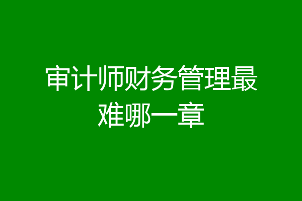审计师财务管理最难哪一章