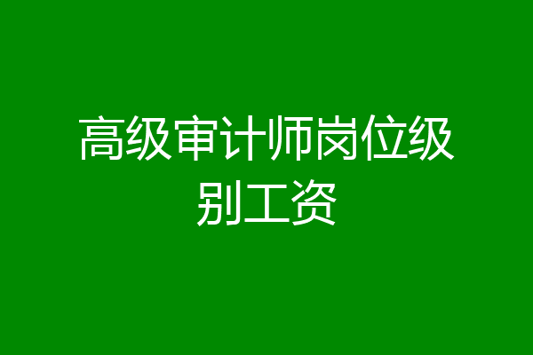 高级审计师岗位级别工资