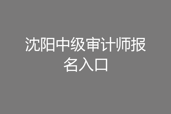 沈阳中级审计师报名入口