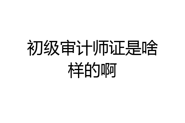 初级审计师证是啥样的啊