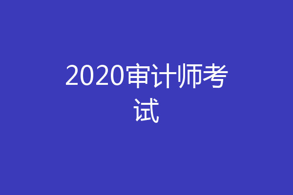 2020审计师考试