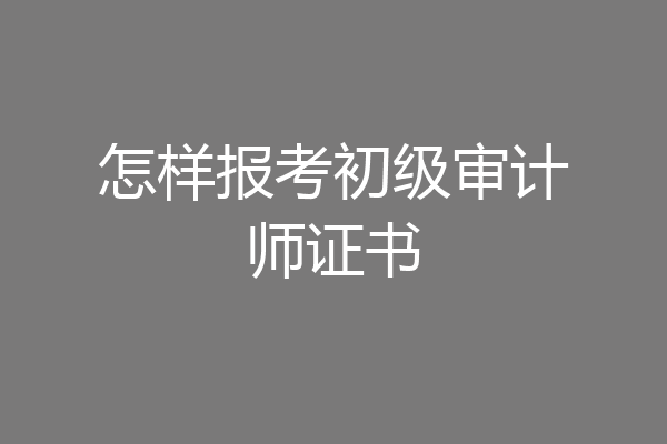 怎样报考初级审计师证书
