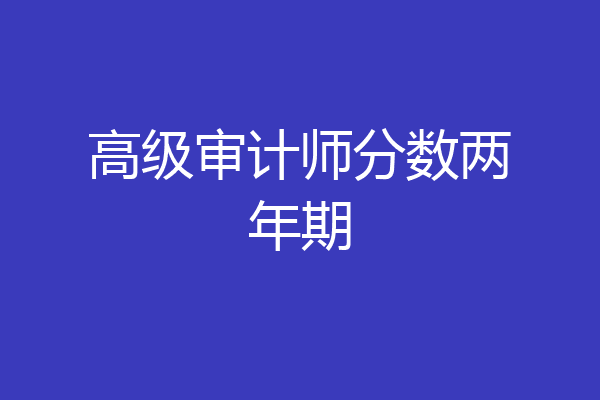 高级审计师分数两年期