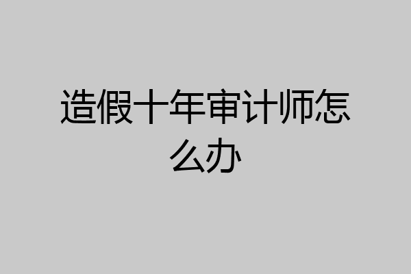 造假十年审计师怎么办
