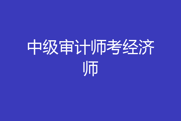 中级审计师考经济师