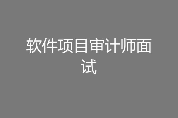 软件项目审计师面试