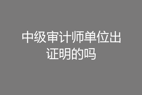 中级审计师单位出证明的吗