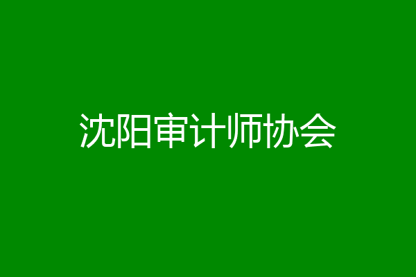 沈阳审计师协会