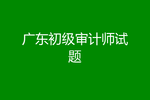 广东初级审计师试题