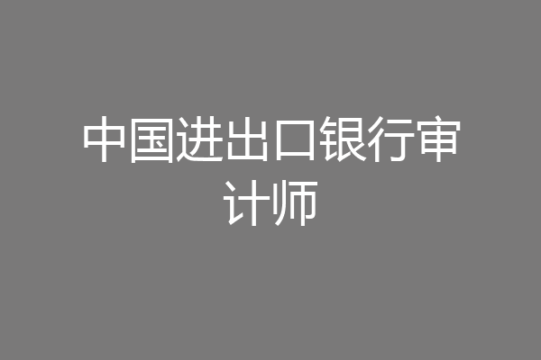 中国进出口银行审计师