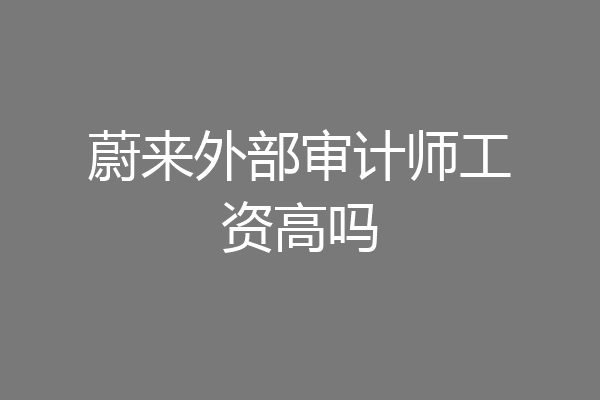 蔚来外部审计师工资高吗