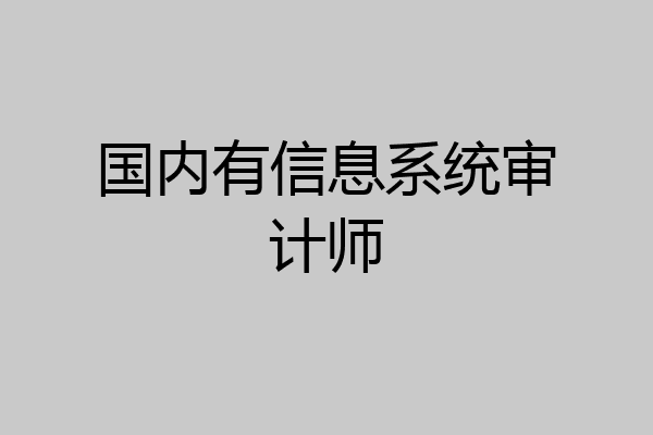 国内有信息系统审计师