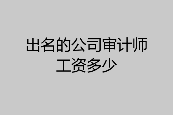 出名的公司审计师工资多少