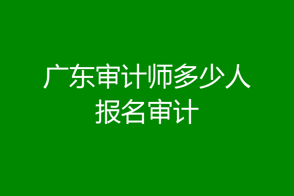 广东审计师多少人报名审计
