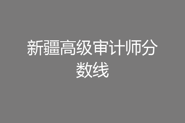 新疆高级审计师分数线