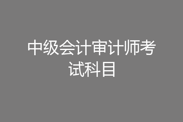 中级会计审计师考试科目