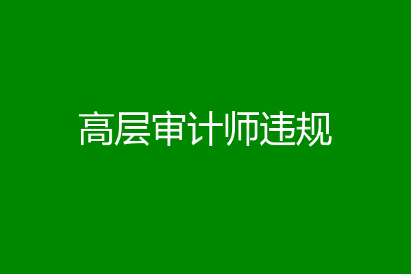 高层审计师违规