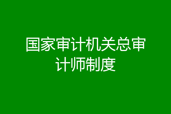 国家审计机关总审计师制度