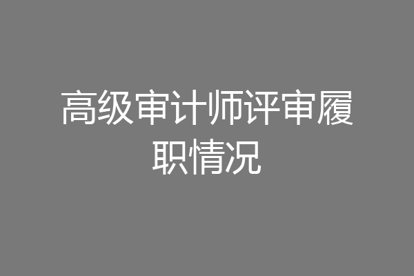 高级审计师评审履职情况