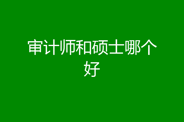 审计师和硕士哪个好