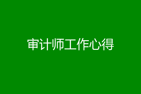审计师工作心得