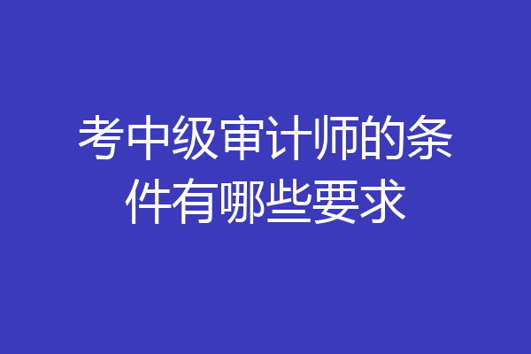 考中级审计师的条件有哪些要求