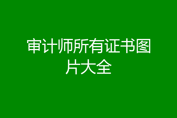 审计师所有证书图片大全