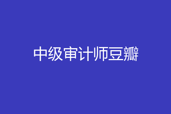 中级审计师豆瓣