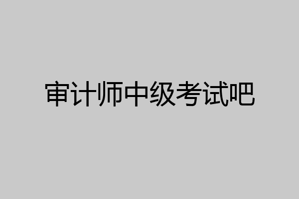 审计师中级考试吧