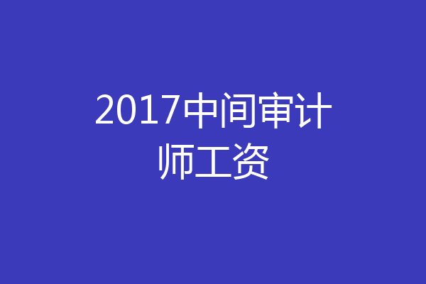 2017中间审计师工资