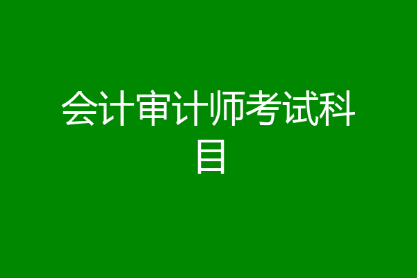 会计审计师考试科目