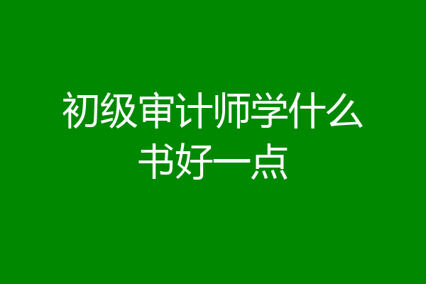 初级审计师学什么书好一点
