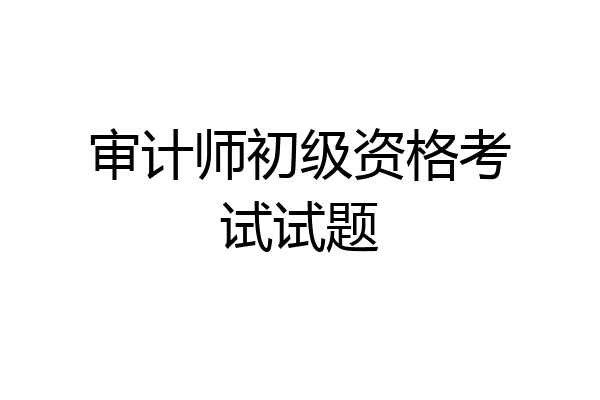 审计师初级资格考试试题