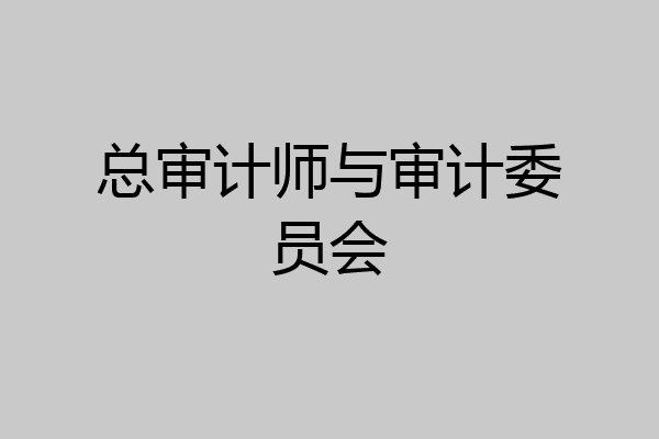 总审计师与审计委员会