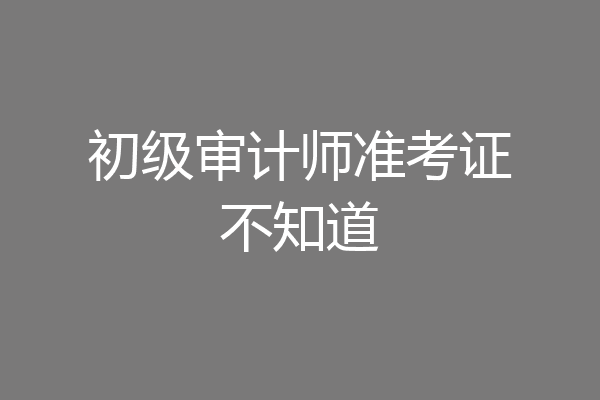 初级审计师准考证不知道