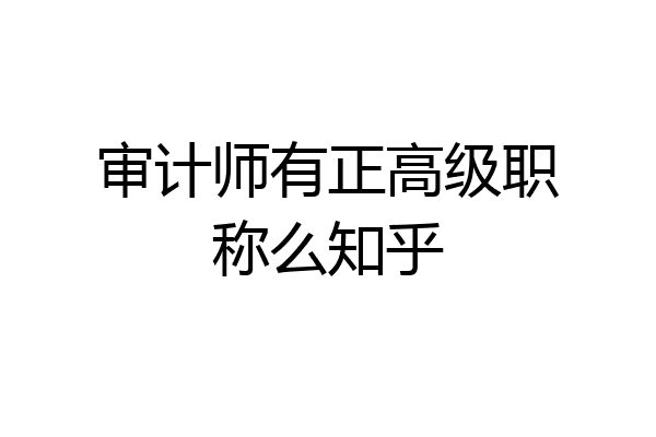 审计师有正高级职称么知乎