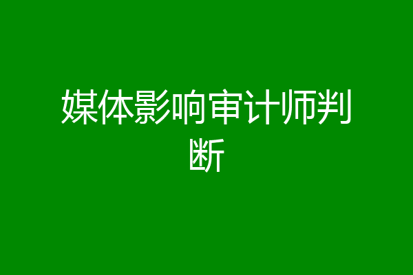 媒体影响审计师判断
