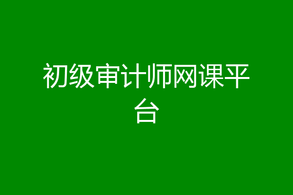 初级审计师网课平台