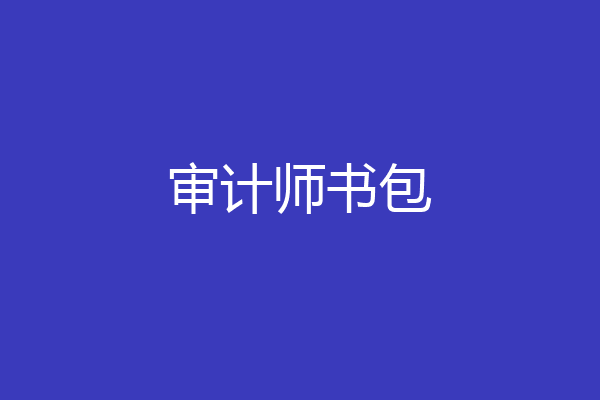 审计师书包