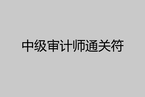 中级审计师通关符