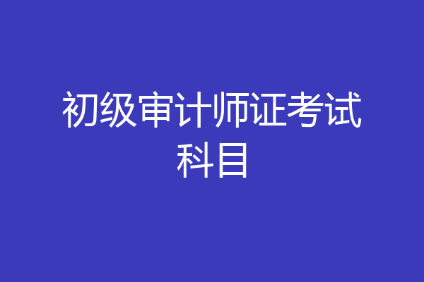初级审计师证考试科目