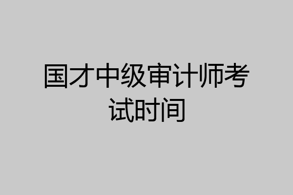 国才中级审计师考试时间