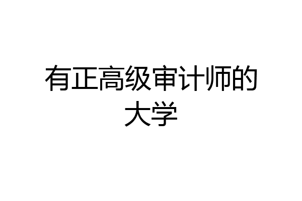 有正高级审计师的大学