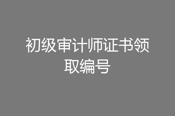 初级审计师证书领取编号