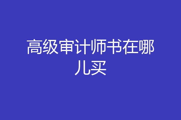 高级审计师书在哪儿买