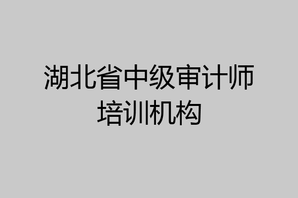 湖北省中级审计师培训机构