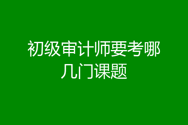 初级审计师要考哪几门课题