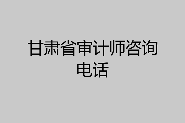 甘肃省审计师咨询电话
