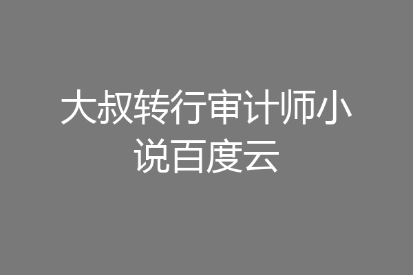 大叔转行审计师小说百度云